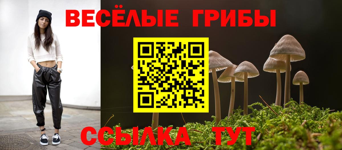 Галлюциногенные грибы Cubensis  Вход с VPN  Кувандык  Псилоцибиновые грибы ЛСД 
