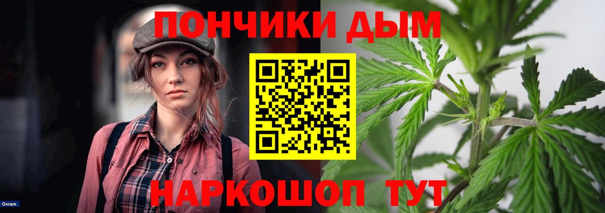 Бошки Шишки марихуана Кувандык
